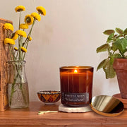 Harvest Moon | Whisper Wood Collection Soy Candle